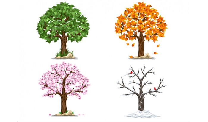 Фетр с рисунком "4 сезона дерево"