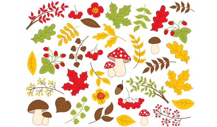 Фетр с рисунком "Осень сет"