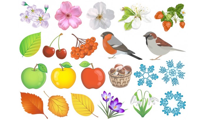 Фетр с рисунком "Яблоки, цветы, птицы. снежинки"