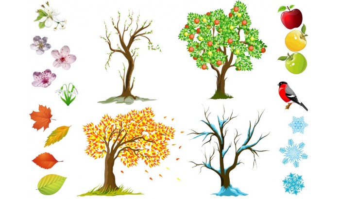 Фетр с рисунком "4 сезона дерево времена года"