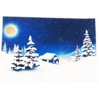 Велкроткань с рисунком "Зимняя ночь"