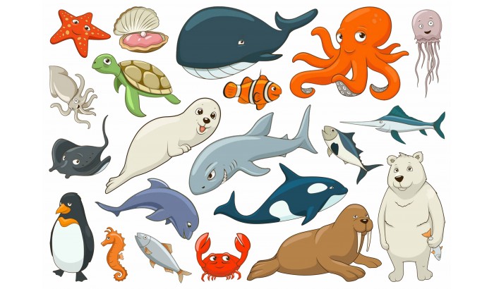 Фетр с рисунком "Морские животные"
