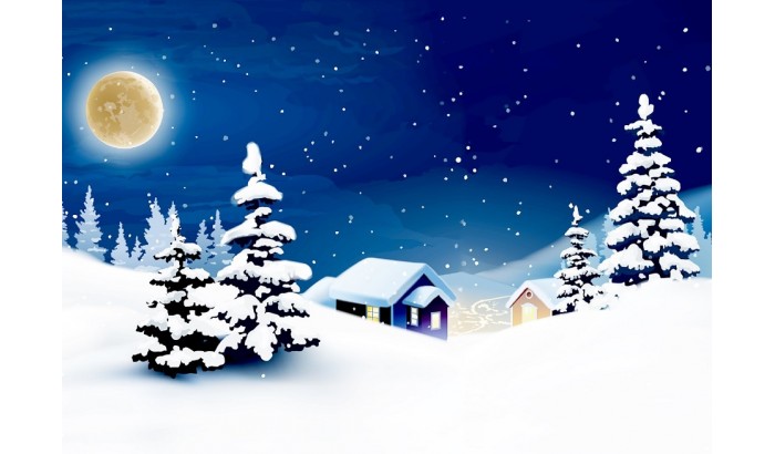 Велкроткань с рисунком "Зимняя ночь"